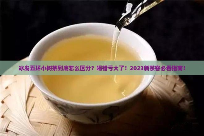 冰岛五环小树茶区分