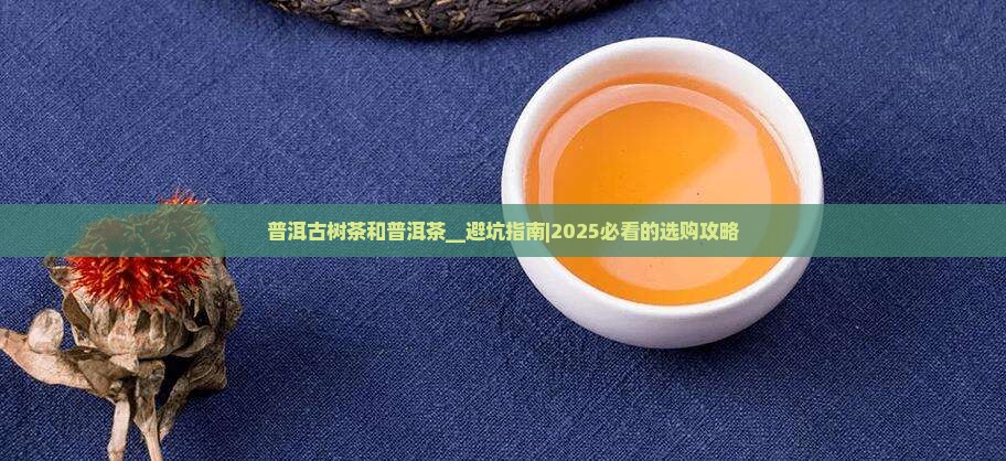 普洱古树茶和普洱茶