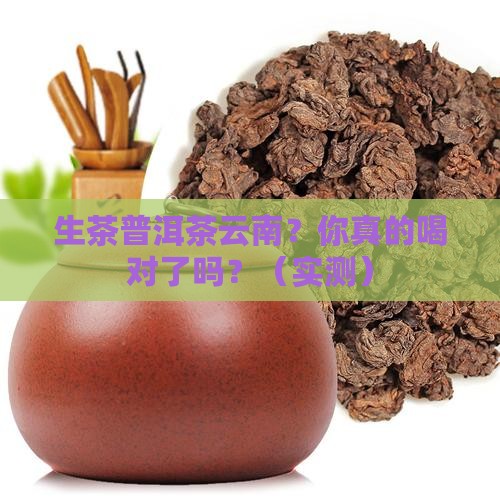 生茶普洱茶云南