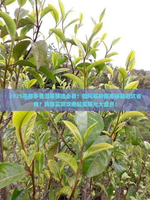 茶客多普洱茶臻选