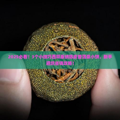 西双版纳陈皮普洱茶小饼