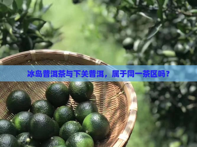 冰岛属于下关茶区吗