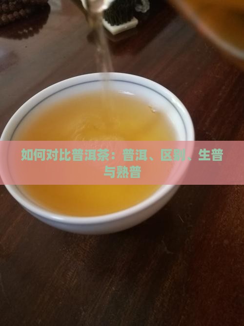 如何对比生普茶