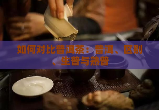 如何对比生普茶