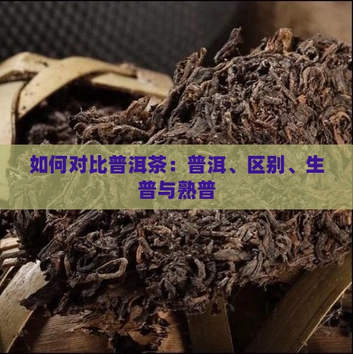如何对比生普茶