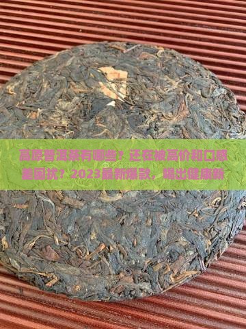 高原普洱茶有哪些