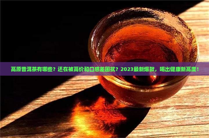 高原普洱茶有哪些