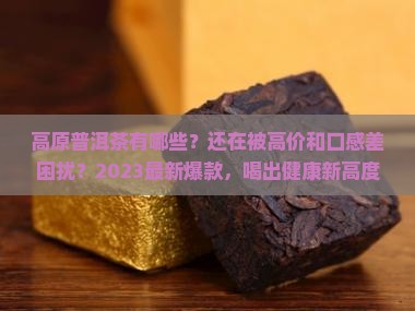 高原普洱茶有哪些