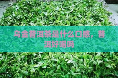 乌金普洱茶是啥味道呀好喝吗 乌金普洱茶是啥味道呀好喝吗