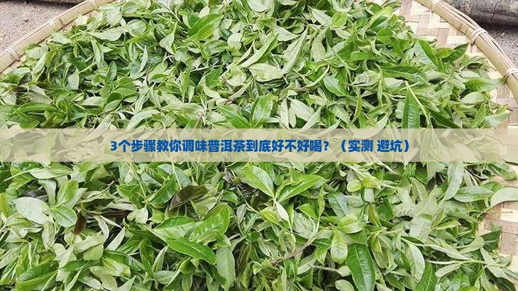 调味普洱茶好吗怎么喝才正确