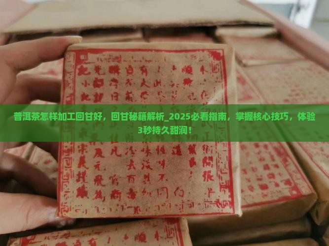 普洱茶怎样加工回甘好