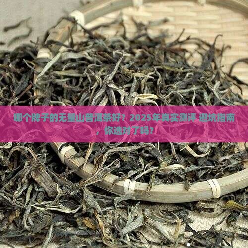 哪个牌子的无量山普洱茶好