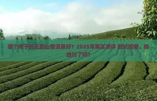 哪个牌子的无量山普洱茶好