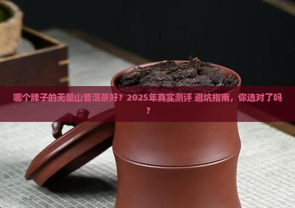 哪个牌子的无量山普洱茶好