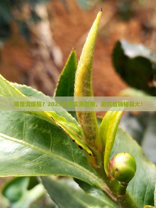 喝普洱脸上爆痘