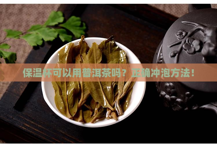 保温杯可以用普洱茶吗