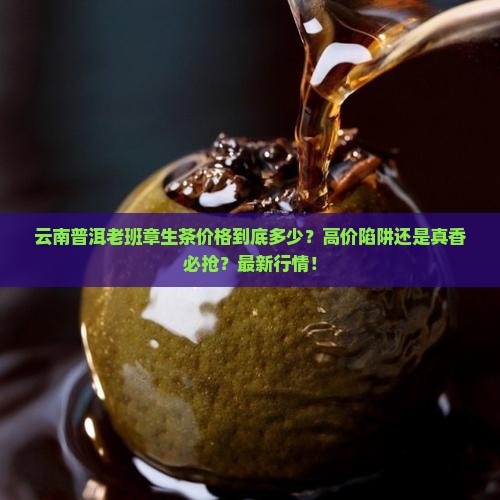 云南普洱老班章生茶价格