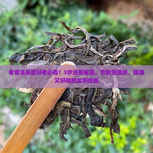 老普洱茶怎么洗茶好喝又健康