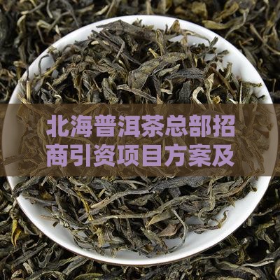 北海普洱茶总部招商引资