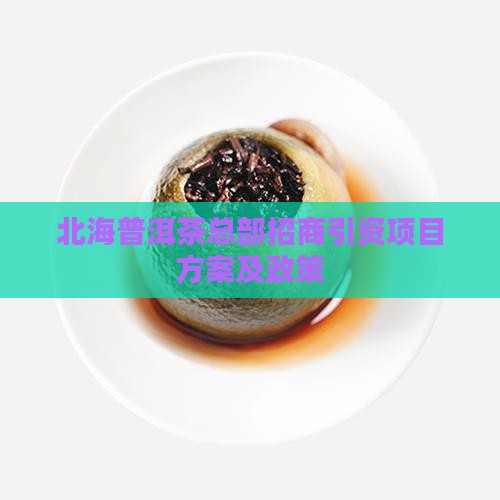 北海普洱茶总部招商引资