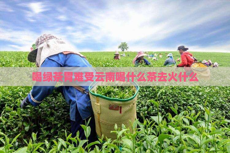 喝绿茶胃难受云南喝什么茶去火