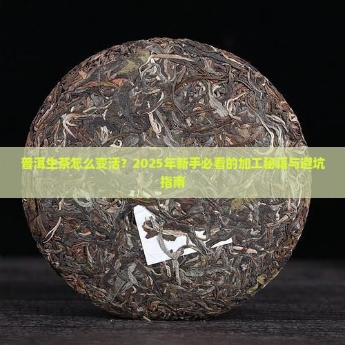 普洱茶生茶加工工艺流程