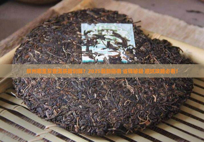 泉州哪里有普洱茶卖的