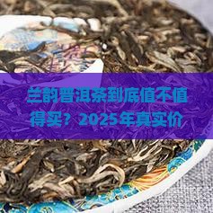 兰韵普洱茶价格