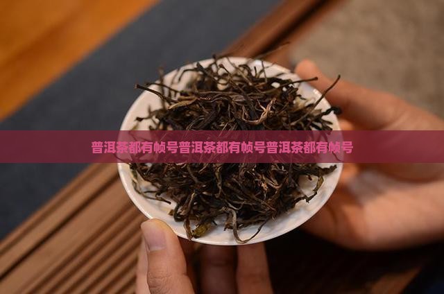 普洱茶都有帧号