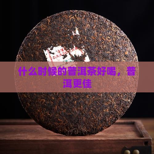 什么时候的普洱茶好喝