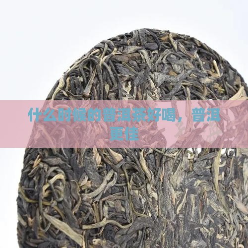 什么时候的普洱茶好喝