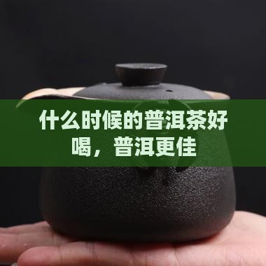 什么时候的普洱茶好喝