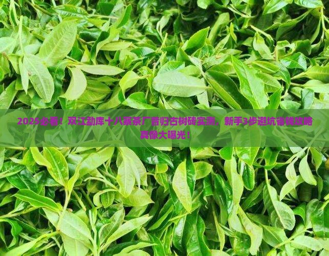 双江勐库十八寨茶厂昔归古树砖