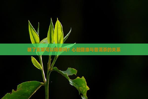 装了支架可以喝普洱茶吗