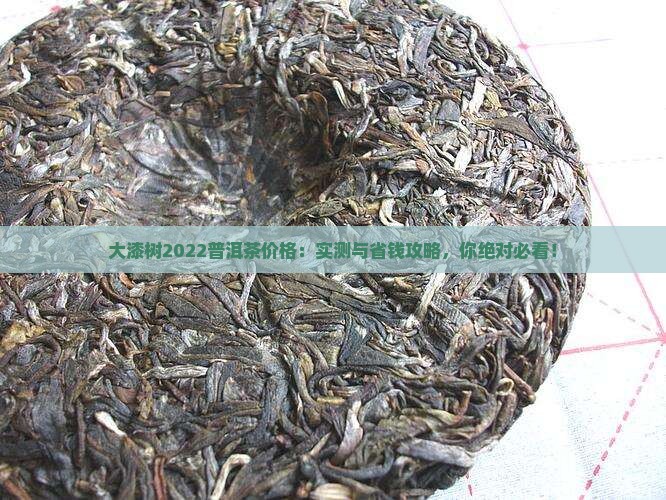大漆树2022普洱茶价格