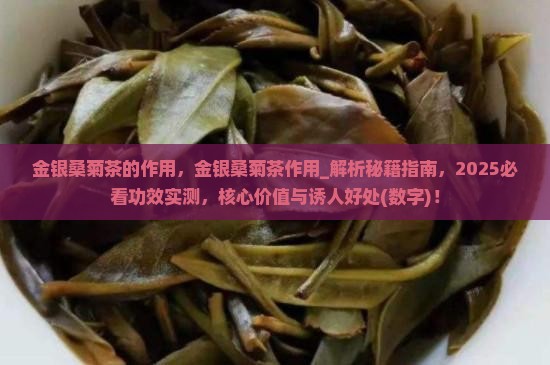 金银桑菊茶的作用