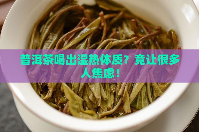 普洱茶喝出湿热体质