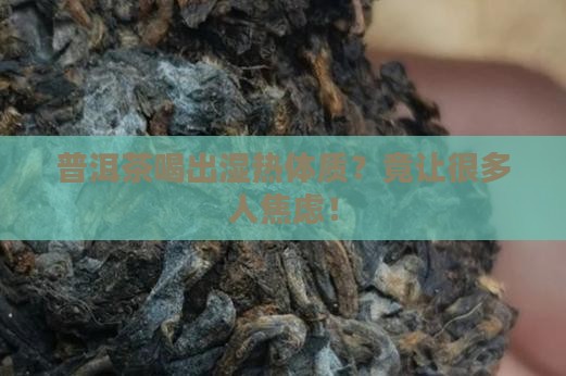 普洱茶喝出湿热体质