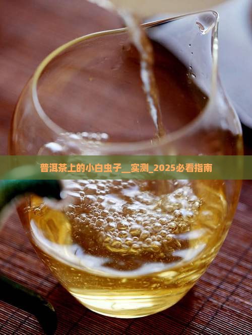 普洱茶上的小白虫子