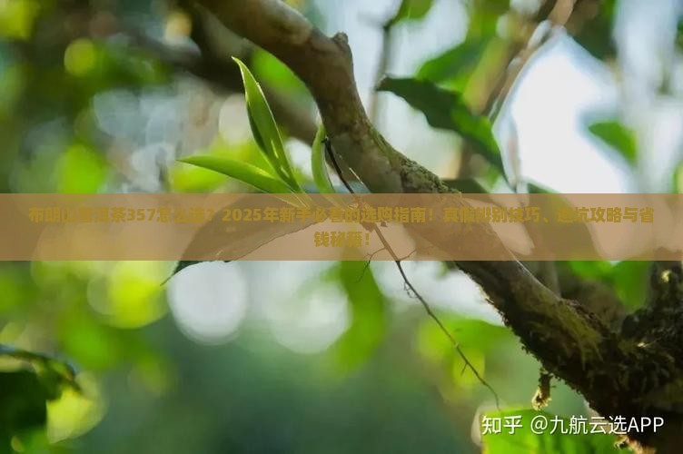 布朗山普洱茶357