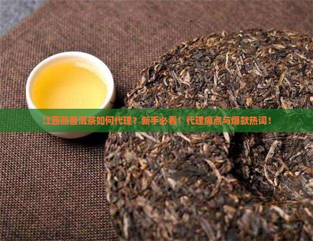 江西熟普洱茶如何代理