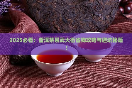 普洱茶易武大街