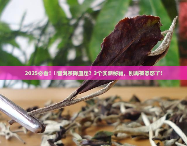 溍普洱茶能降血压吗