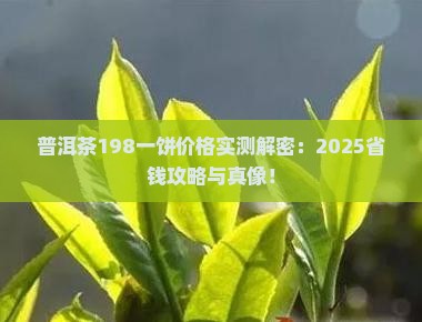 普洱茶198一饼价格