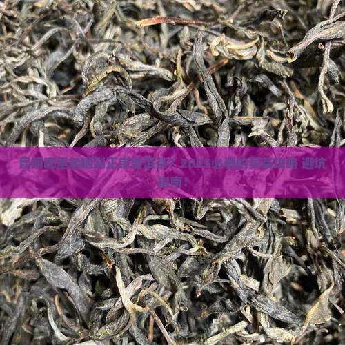 昆明在哪购买普洱茶