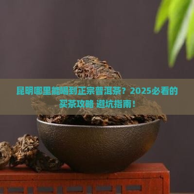 昆明在哪购买普洱茶