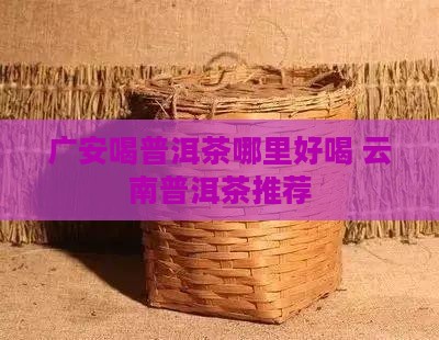 广安喝普洱茶哪里好