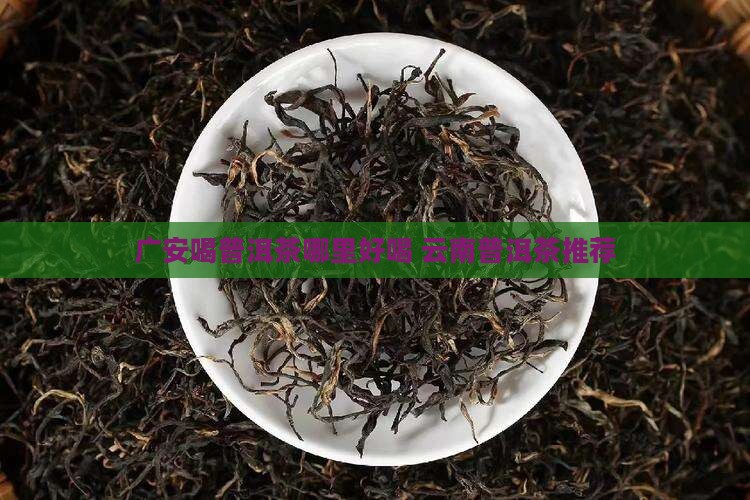 广安喝普洱茶哪里好