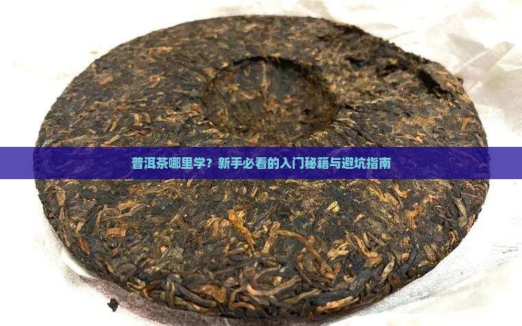 普洱茶在哪里学