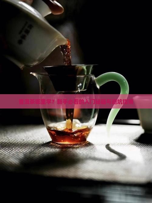 普洱茶在哪里学